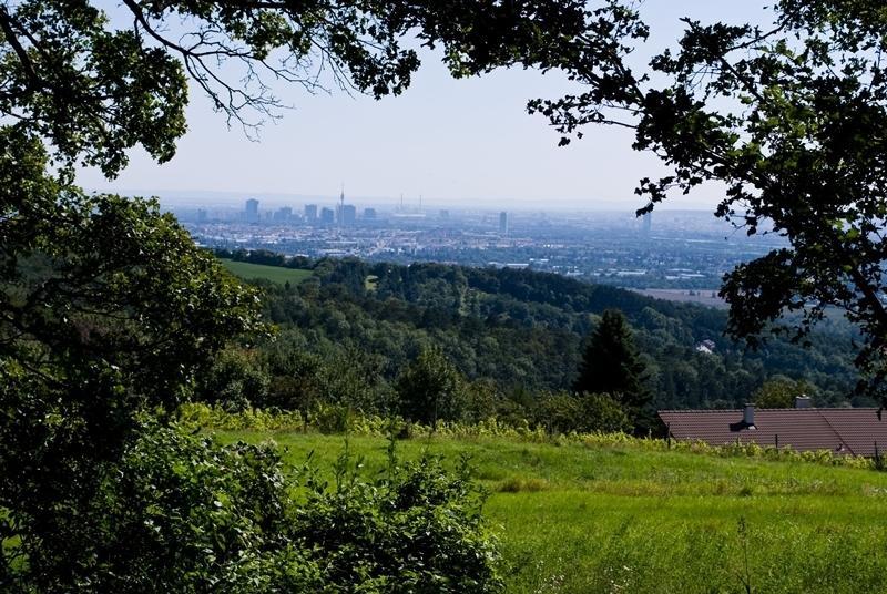 Hotel Zur Sonne Korneuburg Bagian luar foto